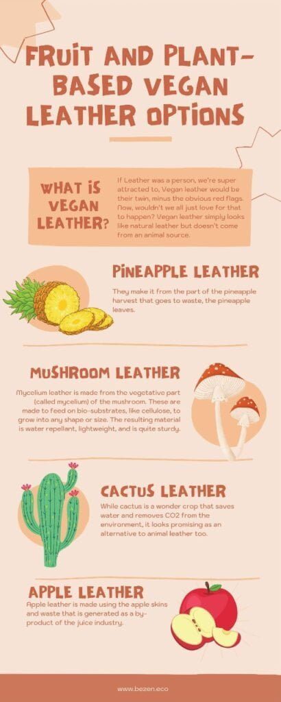 vegan leather alternatives infograph