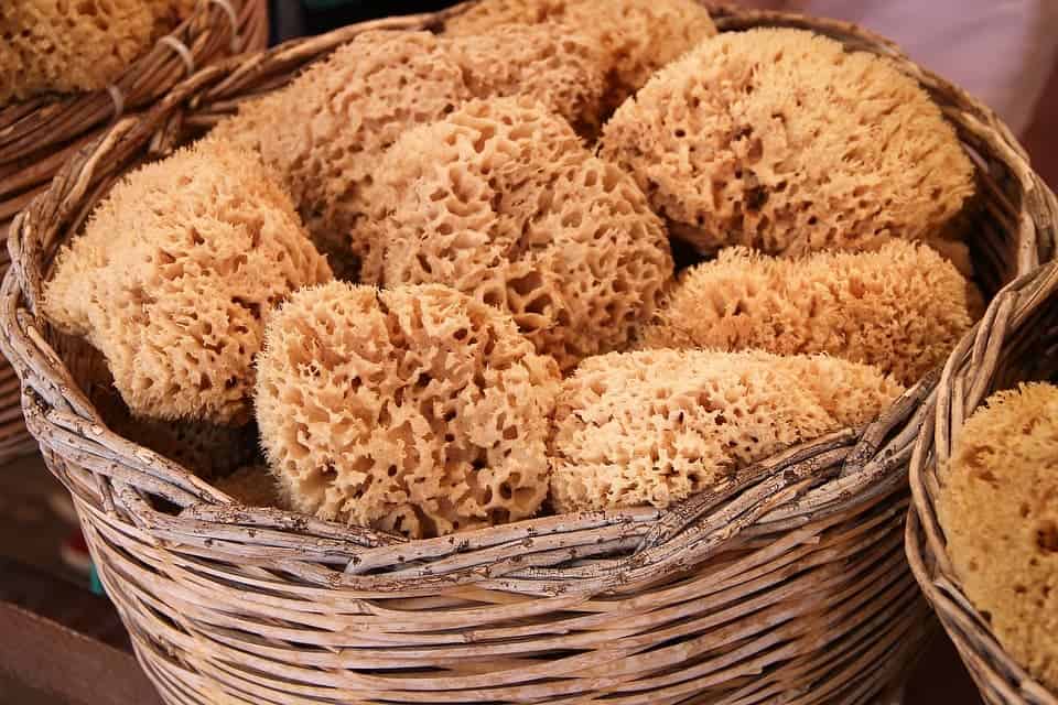 Sea sponges, loofah, sisal, face, nail and foot care, nylon