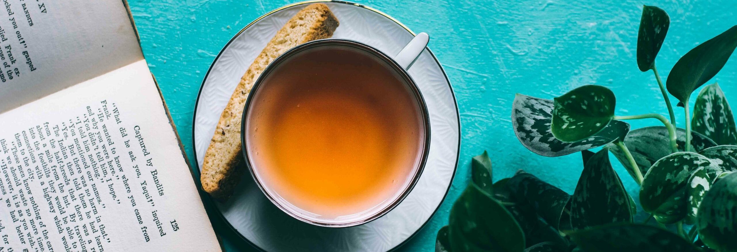 Organic Green Tea 101 — Benefits And Best Brands To Try