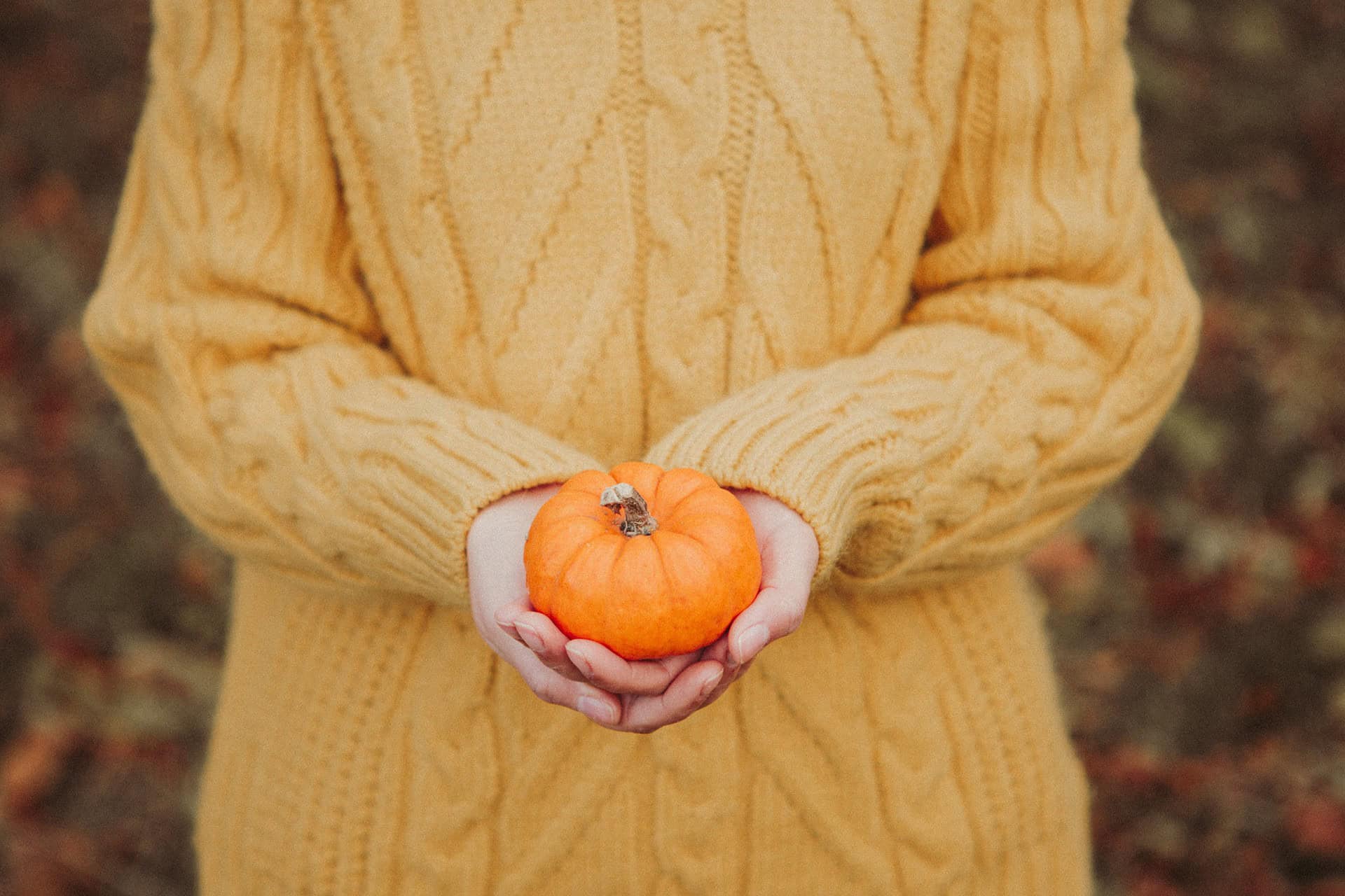 The Ultimate Fall Clothing Guide: 5 Brands You Should Try ASAP