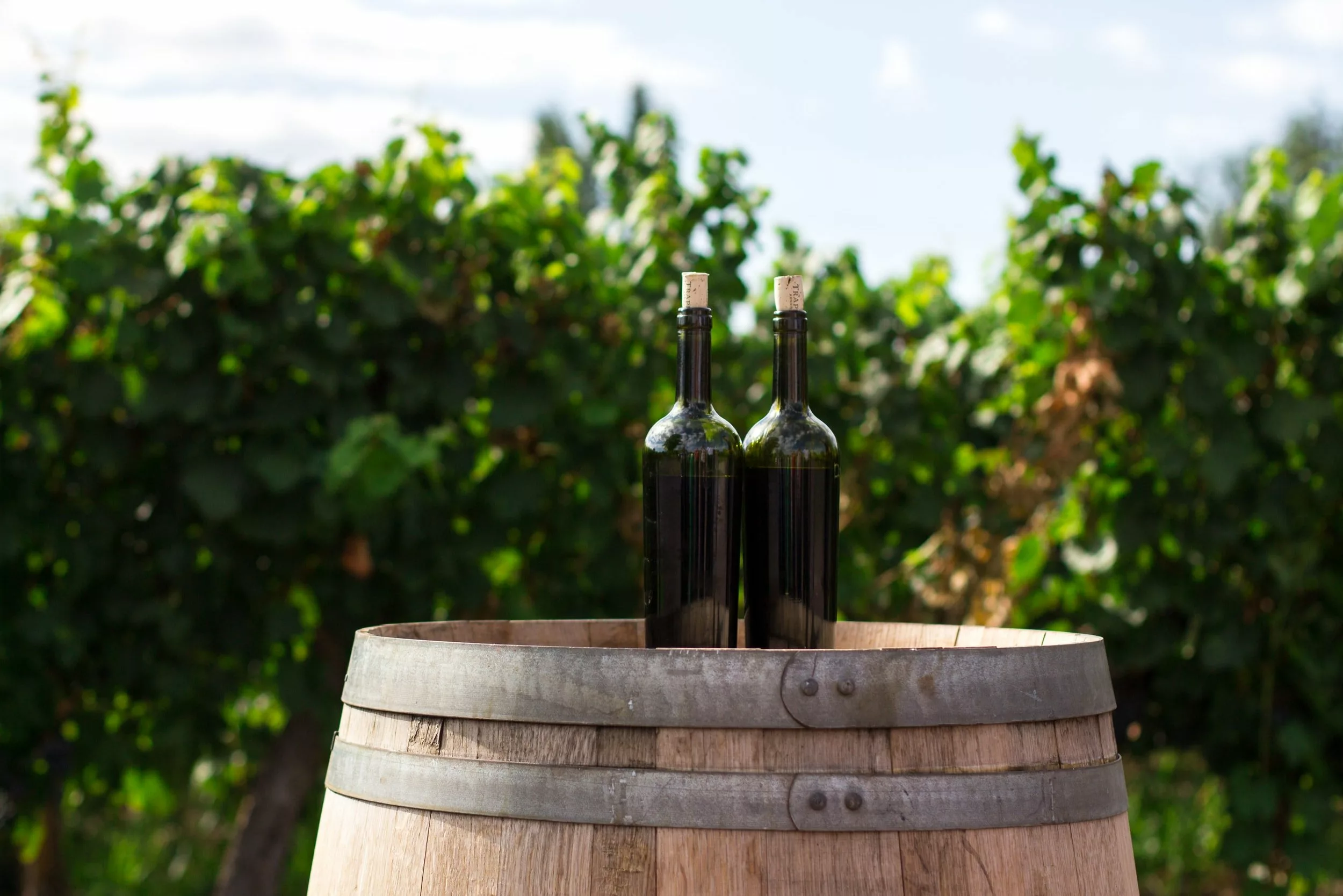 13 Brilliant Tips to Get Crafting with Wine Bottles