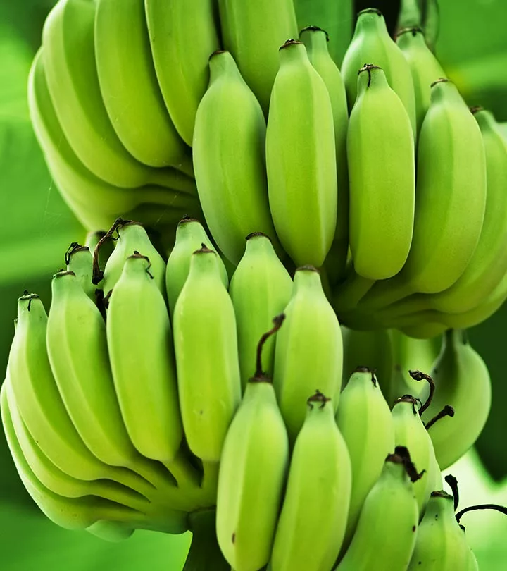 1044-8-Amazing-Benefits-And-Uses-Of-Green-Bananas-3 - Ecowiser green bananas vegan prebiotic foods