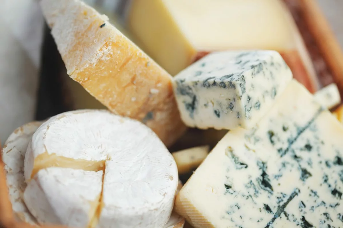 Artisanal Cheese 101: Know About 10 Best Brands to Buy and More