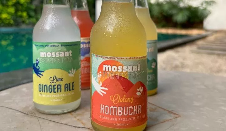 Top Kombucha Brands: Best Picks for Refreshing Fermented Drinks