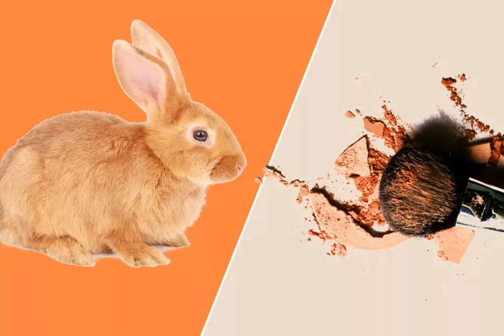 Brands That Still Test On Animals