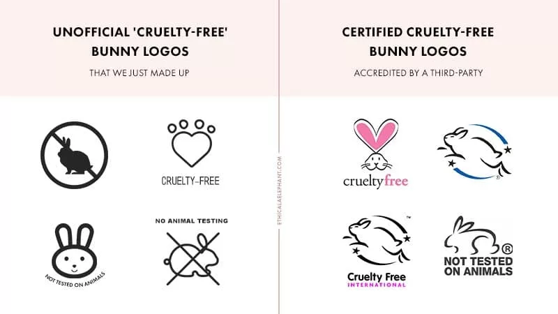 Brands That Still Test On Animals