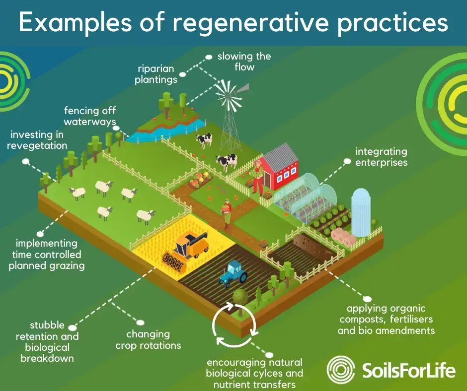Regenerative practices