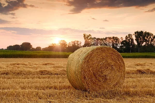 Regenerative Agriculture: A Solution to Climate Change?
