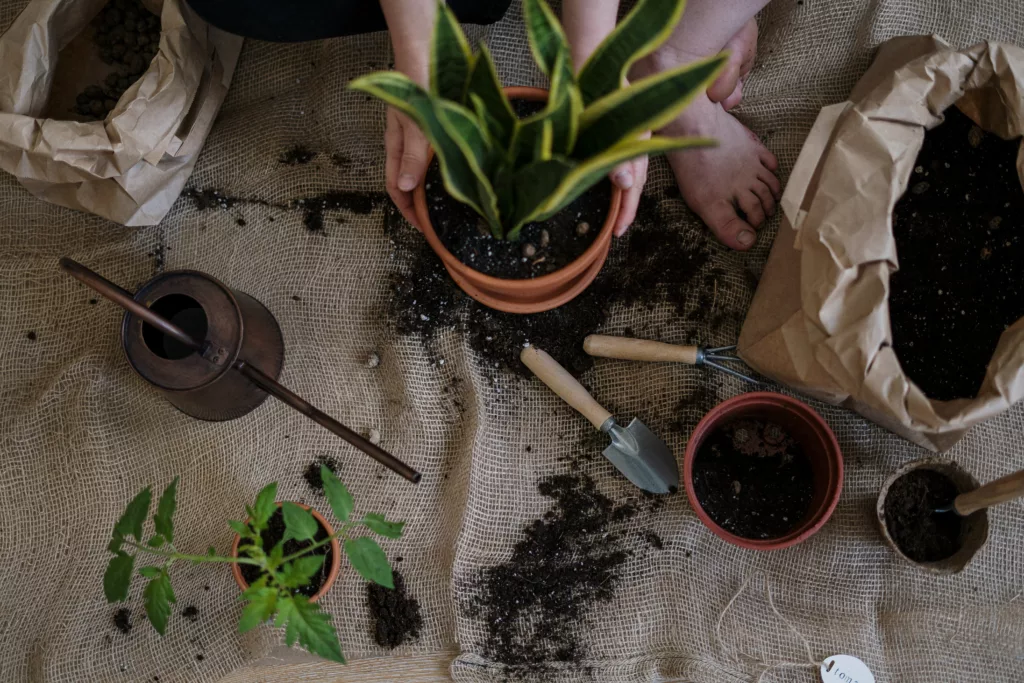Compost Tea Recipe: Your Ultimate Guide 2 guide to brewing compost tea at home