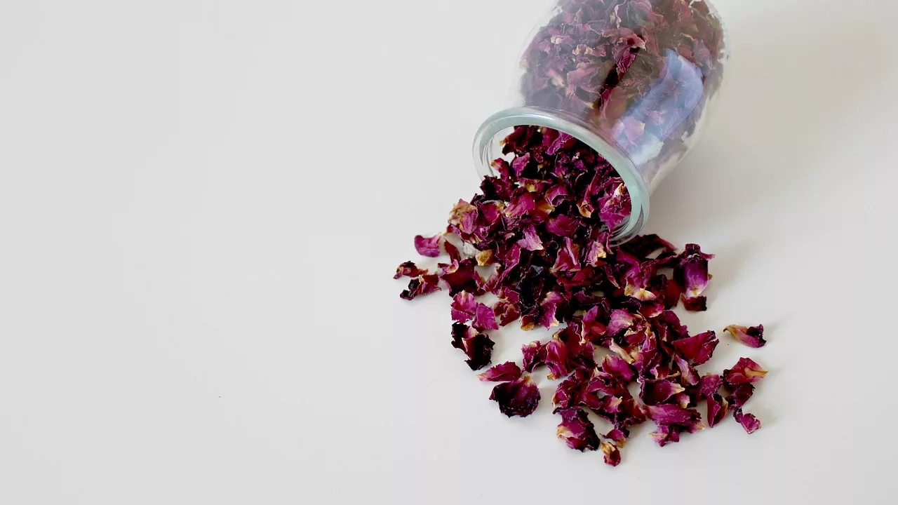 Eco-friendly Methods to Dry Rose Petals