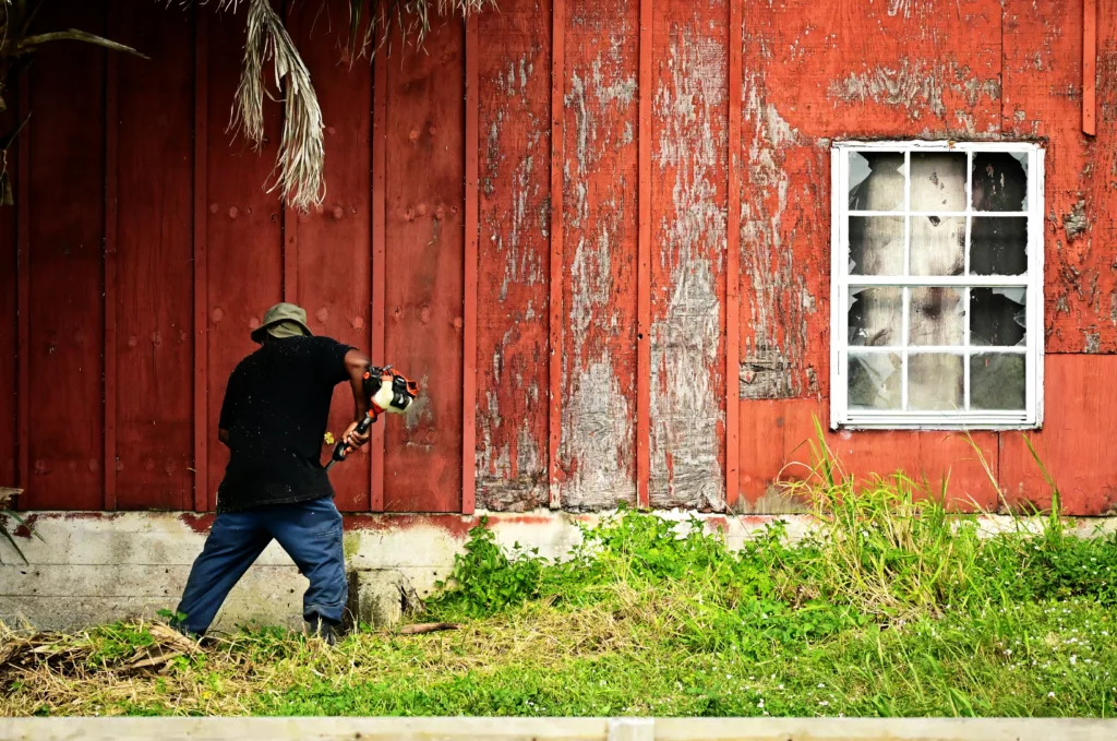 Psychological and Social Advantages of Green Landscaping