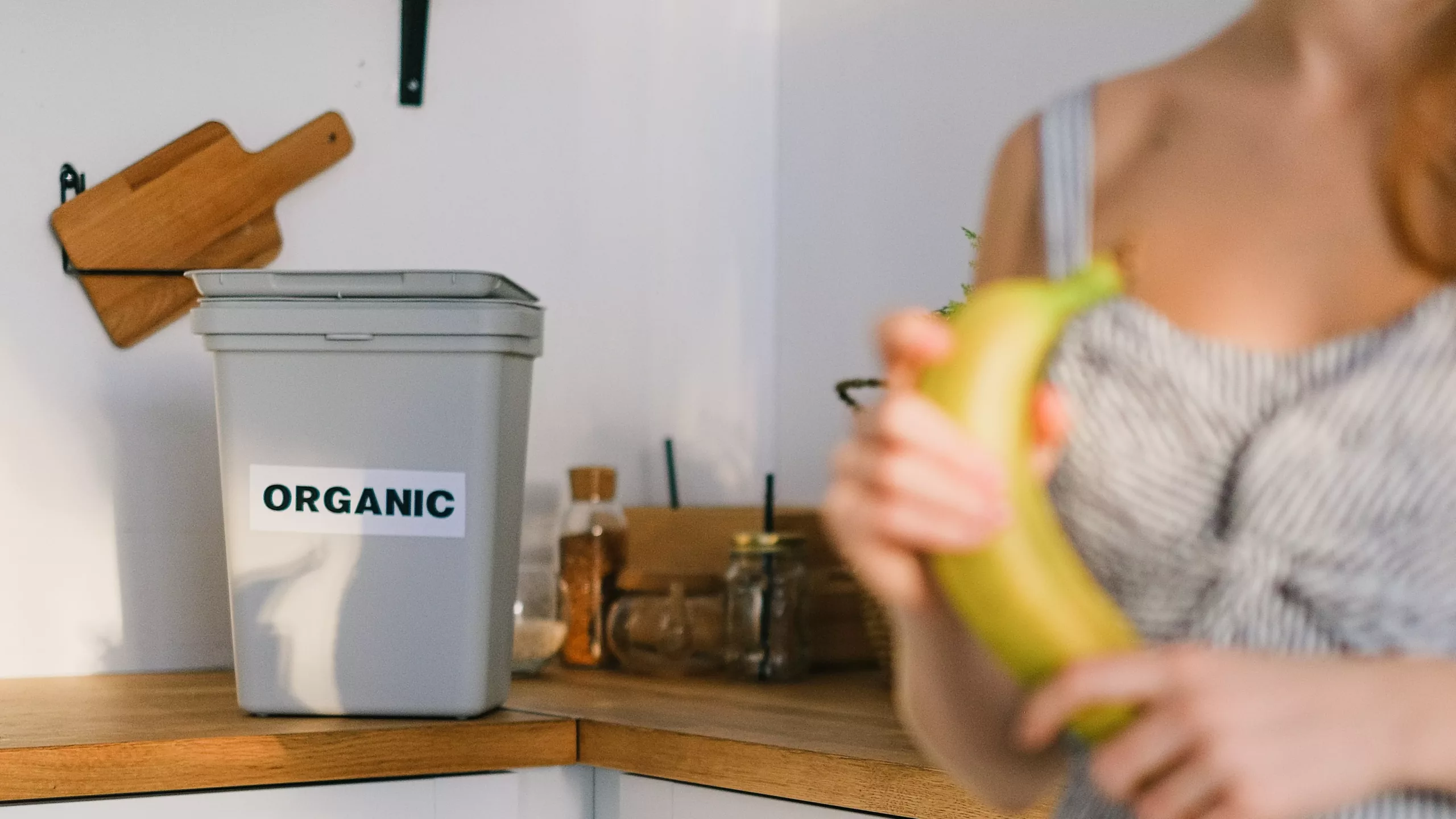 Sustainable Countertop Compost Bins - Reduce Waste and Embrace