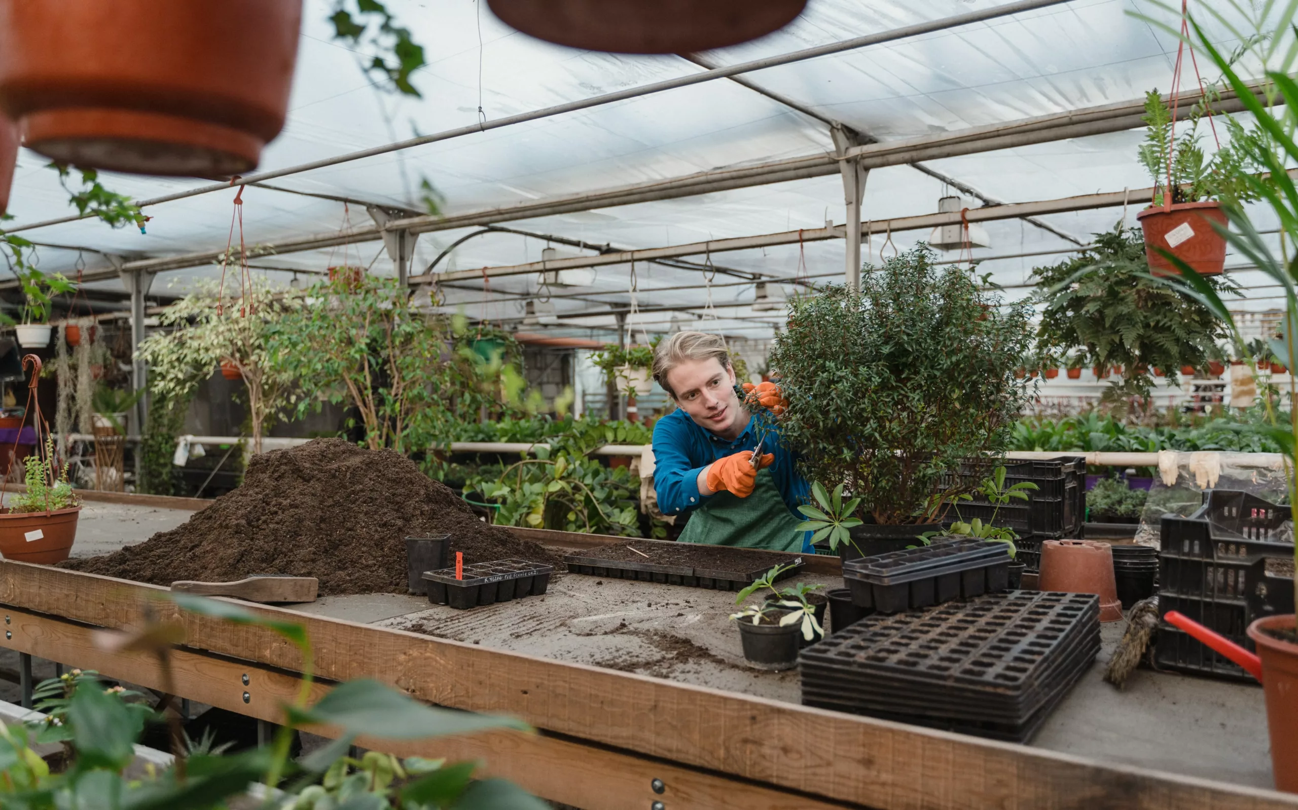 Kitchen Composters: The Ultimate Guide to Reducing Waste and Nourishing the  Earth — Ecowiser