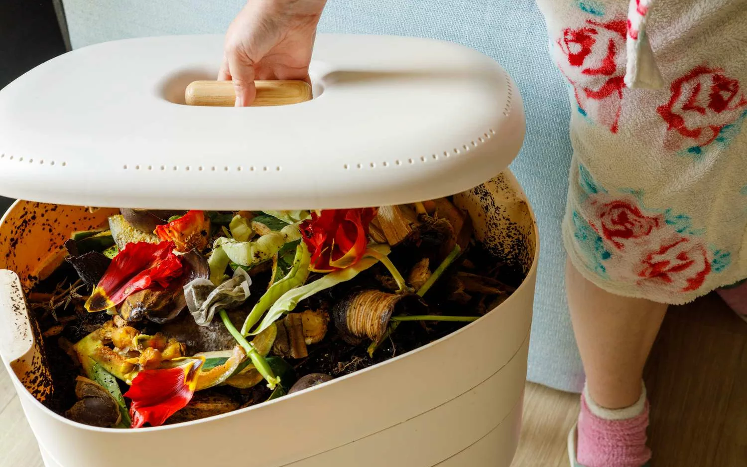 Kitchen Composters: The Ultimate Guide to Reducing Waste and Nourishing the  Earth — Ecowiser