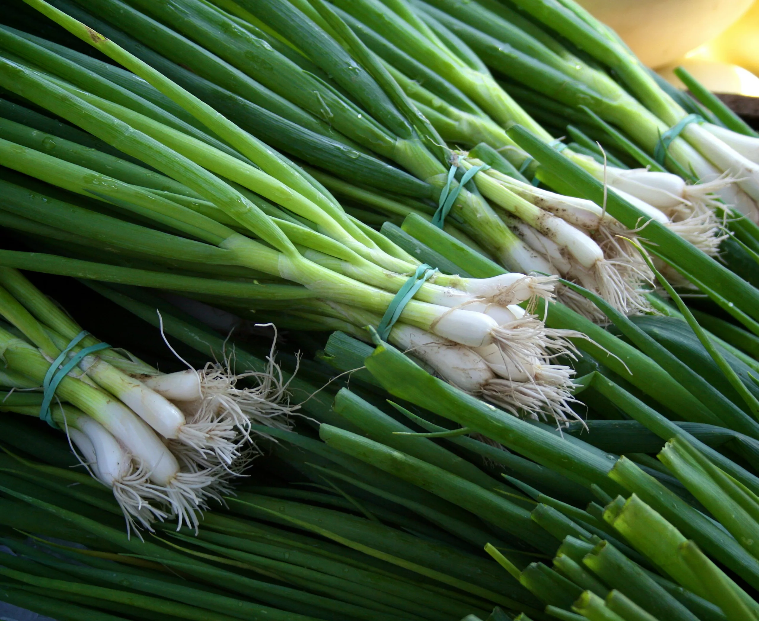 How to Cut Green Onions