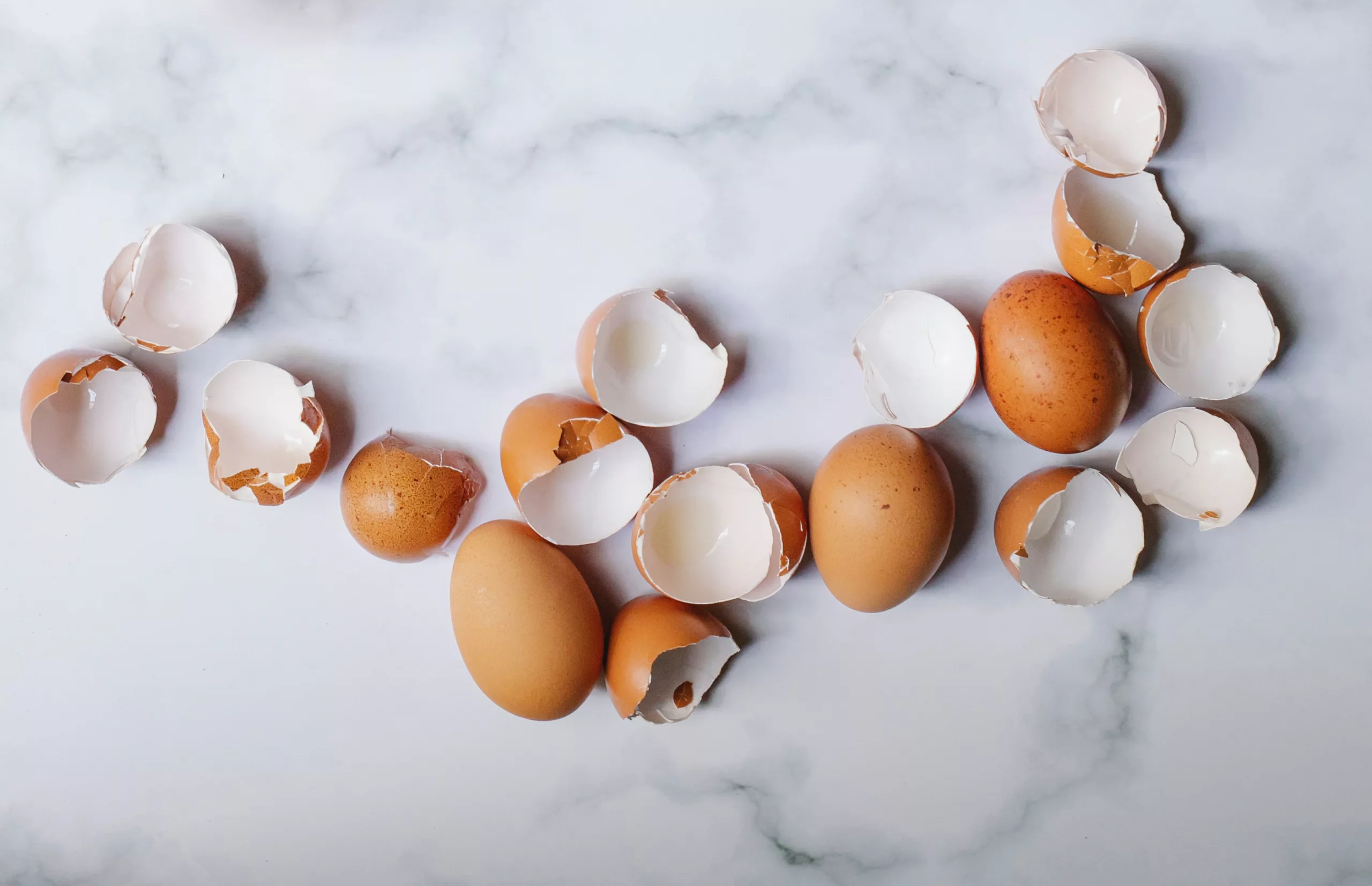 Egg Shell Powder: The Sustainable Solution to Your Garden’s Needs