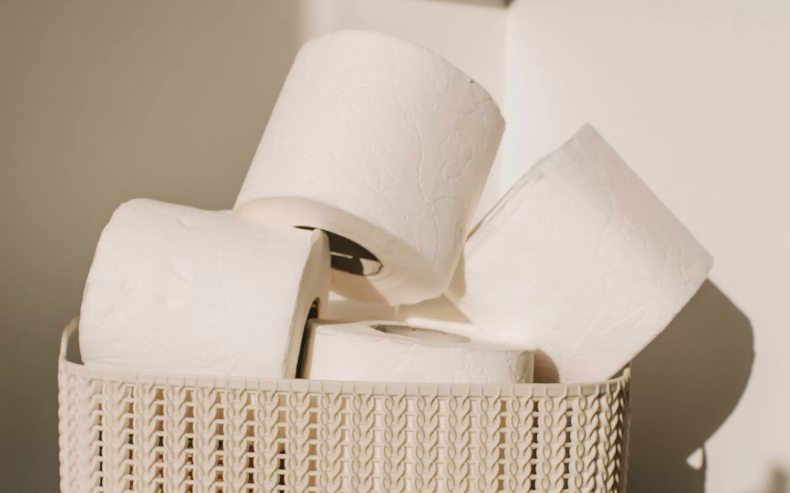 Alternatives to toilet paper found around the world