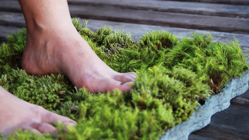 Moss Bath Mat Adds Nature To Your Bathroom - How to Make DIY Moss