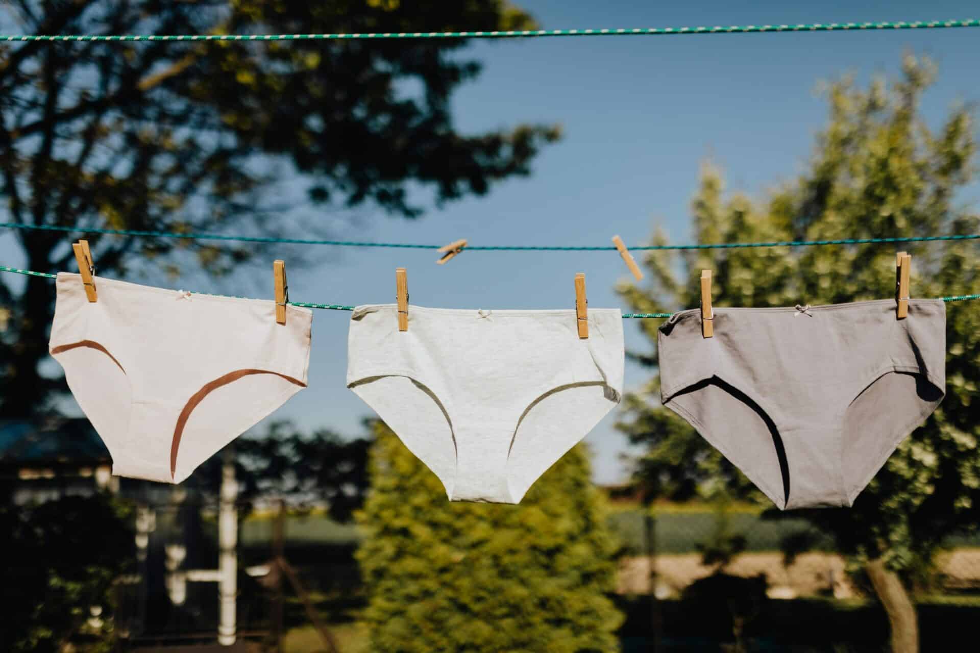 Top 10 Hemp Underwear Brands For Sustainable Comfort Ecowiser