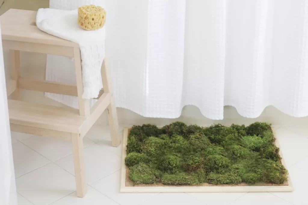 Moss Bath Mats: Top 9 Frequently Asked Questions Answered — Ecowiser