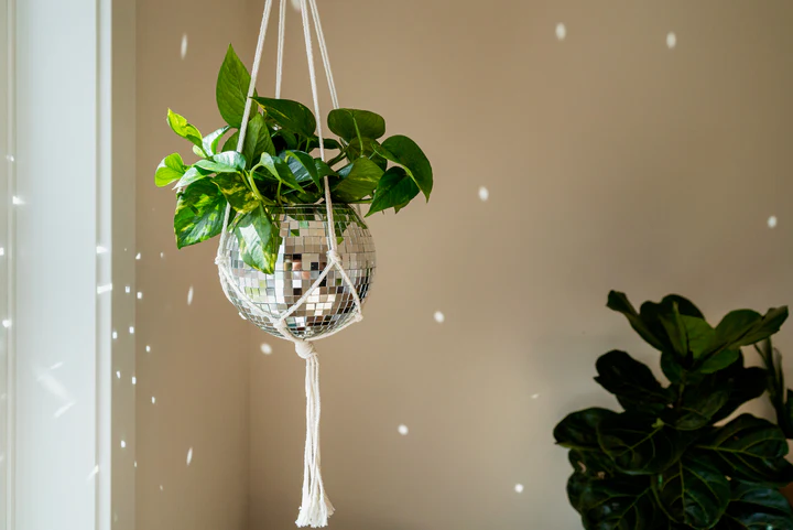 How to Make a Disco Ball: A Step-by-Step Guide