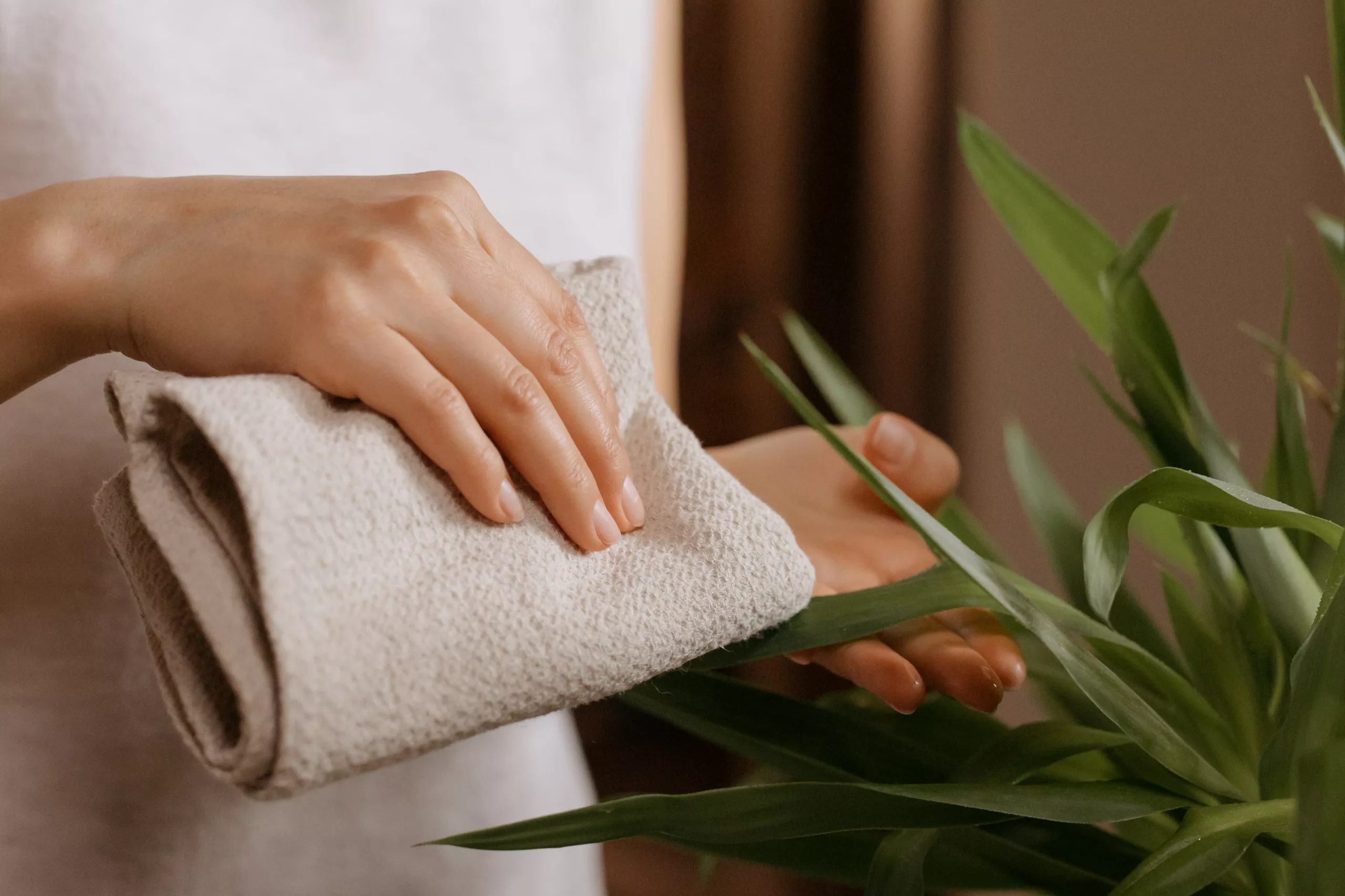 Best Reusable Paper Towels 2023: Top 5 Eco-Friendly & Super Absorbent Picks
