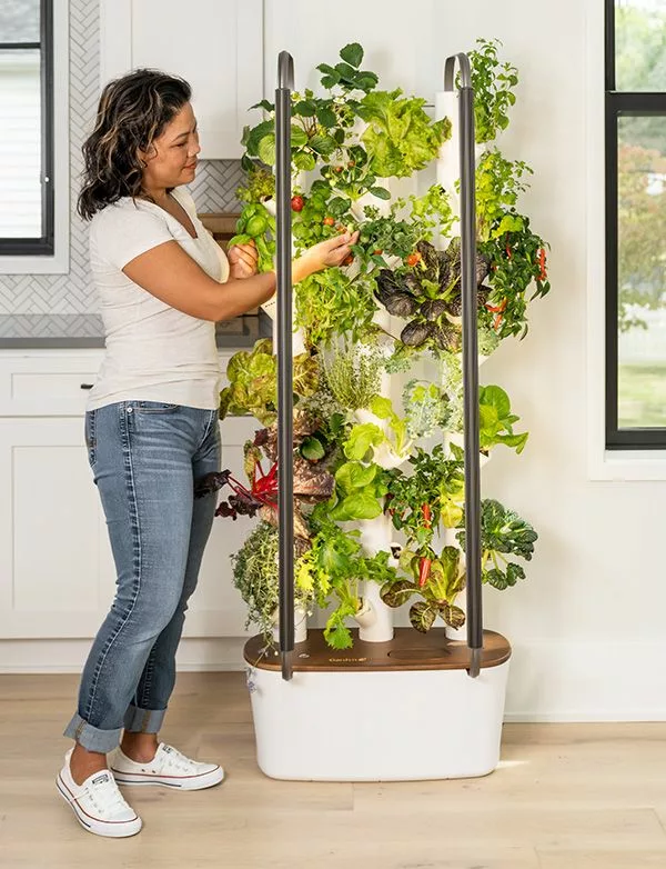 Top 5 Indoor Hydroponics for City Gardeners: Expert Picks