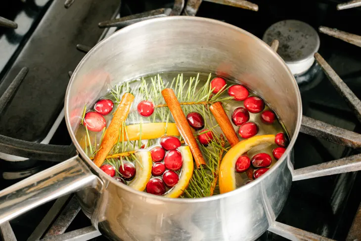Eco-Luxe Aromas: Savor Sustainable Simmer Pot Recipes for Fresh Ambiance
