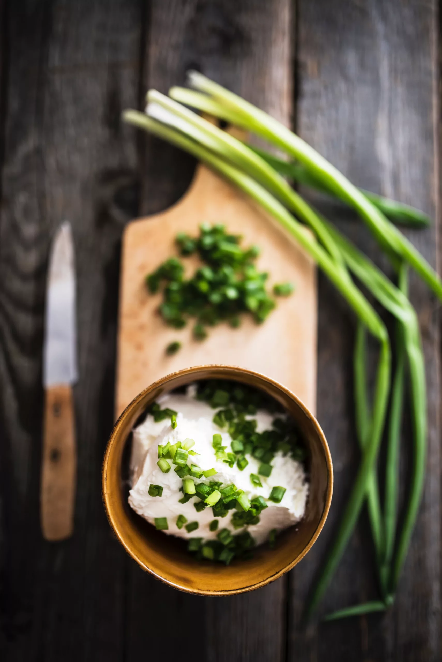 Eco-Friendly Green Onion Dip: A Delicious and Sustainable Recipe