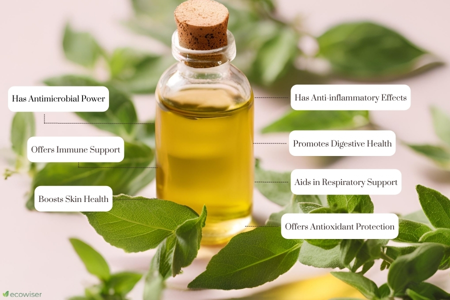 Is Oregano Oil Good For You?