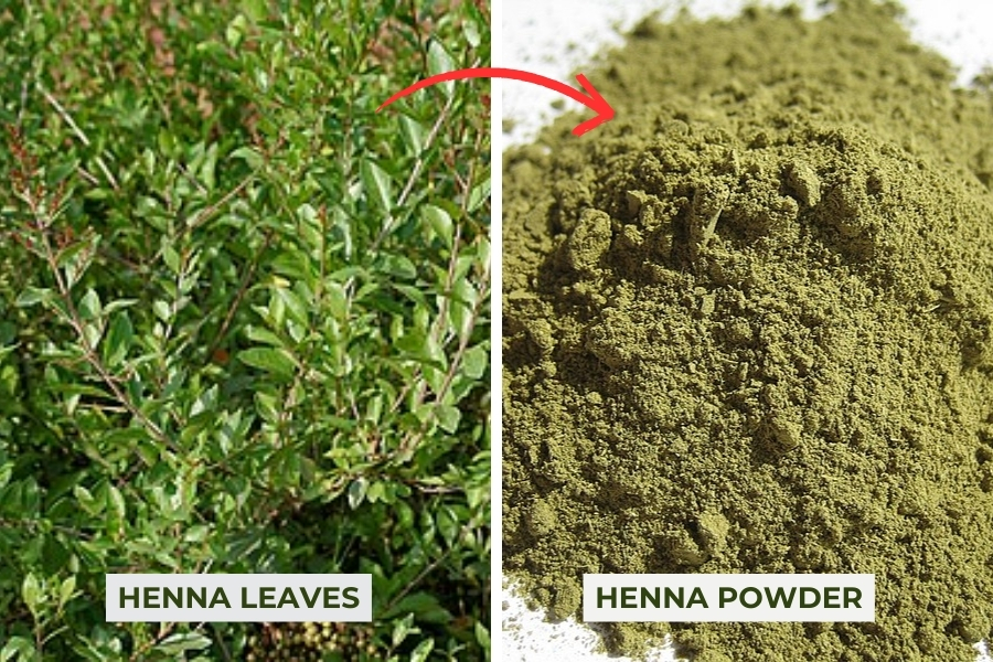 What makes Henna a Better Natural Copper Hair Dye?